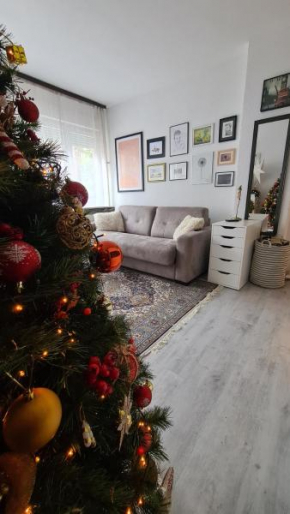 Peni Apartman Centar